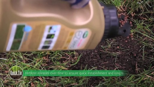 Repairing Lawn Patches with Frankie Flowers - image 4 from the video