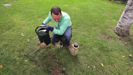 Repairing Lawn Patches with Frankie Flowers - image 5 from the video