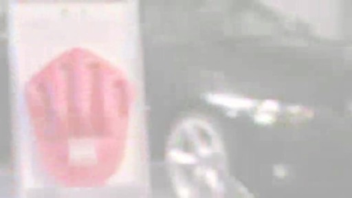  Autoglym Perfect Palm Applicator - image 2 from the video