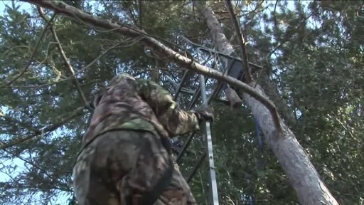 Hunter Safety Treestalker - image 7 from the video