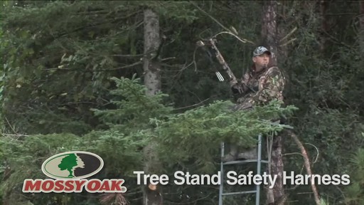 Hunter Safety Treestalker - image 9 from the video