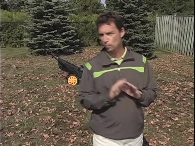 How to Maintain Your Lawn During the Fall - image 2 from the video