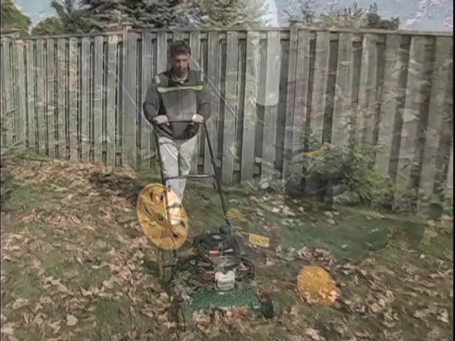 How to Maintain Your Lawn During the Fall - image 3 from the video