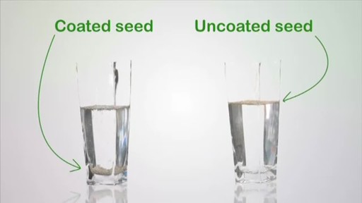 How to Achieve Seeding Success - image 5 from the video