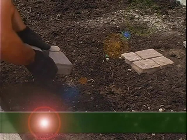 How to Maintain Your Vegetable Garden - image 7 from the video