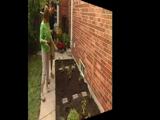 How to Maintain Your Vegetable Garden - image 8 from the video
