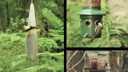 Scott's NutriThrive Wild Bird Food - image 1 from the video