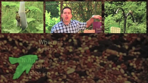 Scott's NutriThrive Wild Bird Food - image 3 from the video