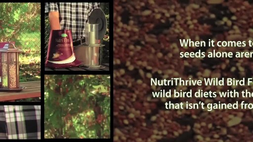 Scott's NutriThrive Wild Bird Food - image 4 from the video