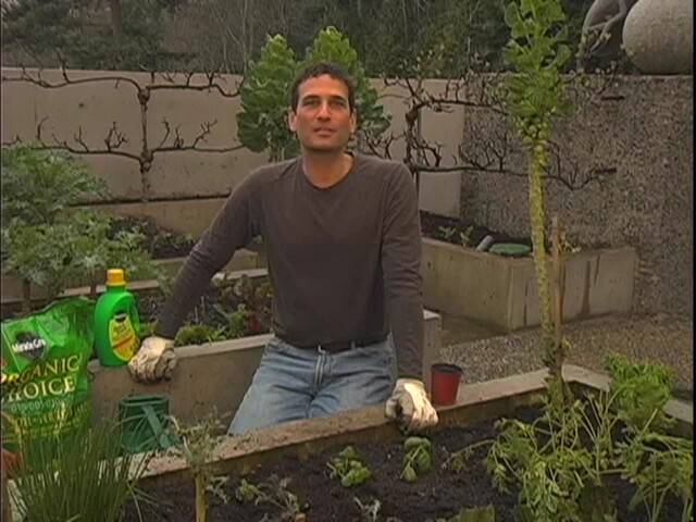 How to Start Your Own Vegetable Garden - image 10 from the video