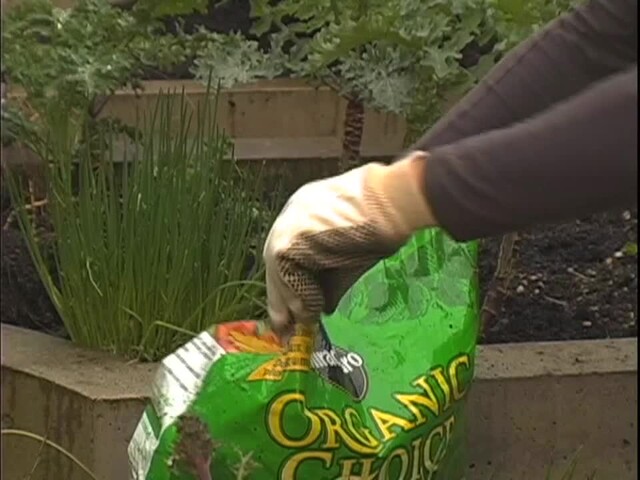 How to Start Your Own Vegetable Garden - image 4 from the video