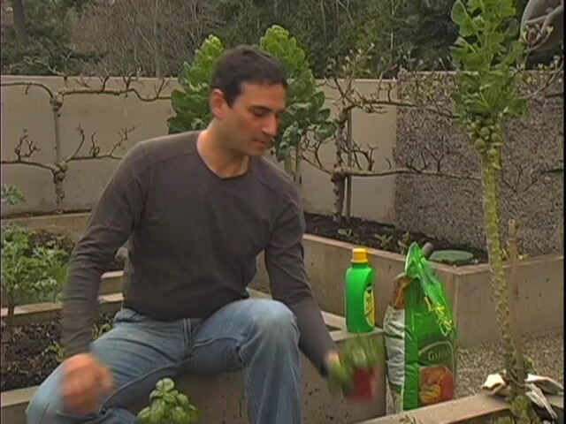 How to Start Your Own Vegetable Garden - image 5 from the video