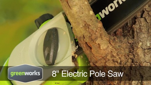 Greenworks 6.5A Electric Polesaw - image 1 from the video