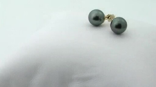 Earrings Pearl Tahitian  - image 1 from the video
