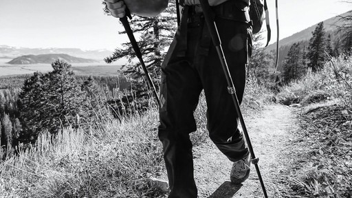 BLACK DIAMOND Trail Trekking Poles - image 7 from the video