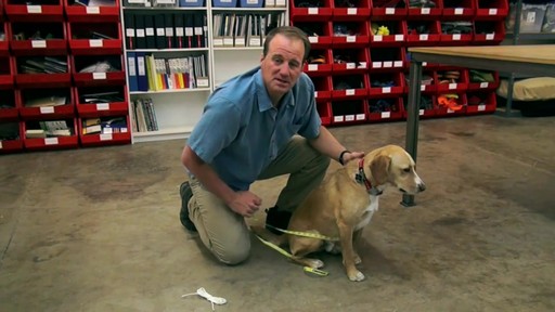 RUFFWEAR How to Measure Your Dog's Girth - image 7 from the video