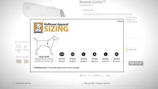 RUFFWEAR How to Measure Your Dog's Girth - image 8 from the video