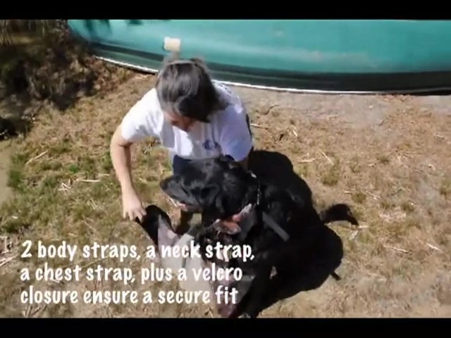 MTI underDOG Life Vest - image 1 from the video