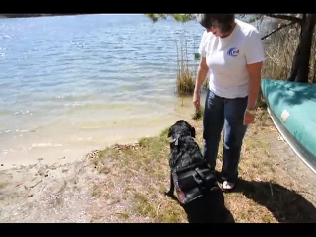 MTI underDOG Life Vest - image 10 from the video