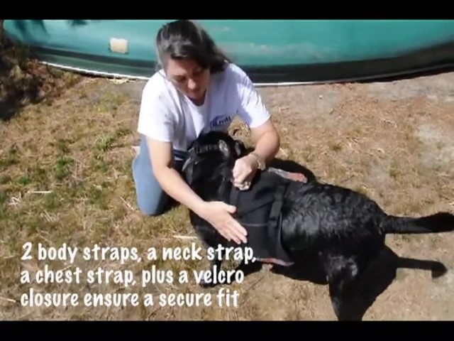 MTI underDOG Life Vest - image 2 from the video
