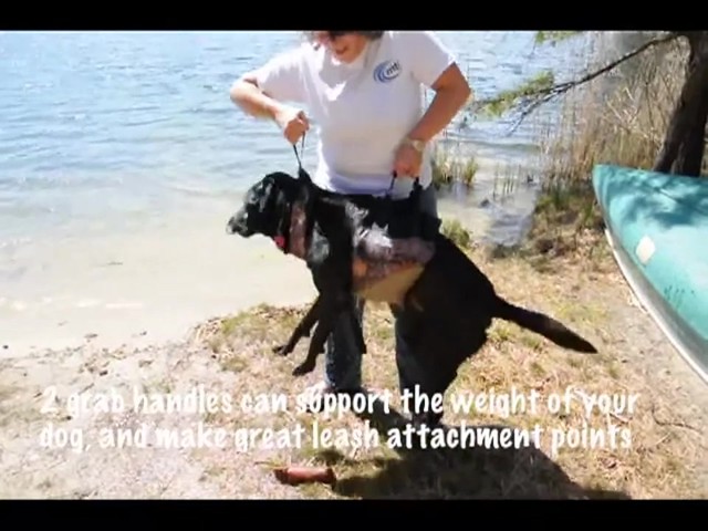 MTI underDOG Life Vest - image 9 from the video