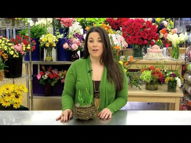 Delightful Daffodil Garden Care & Handling Tips - image 2 from the video