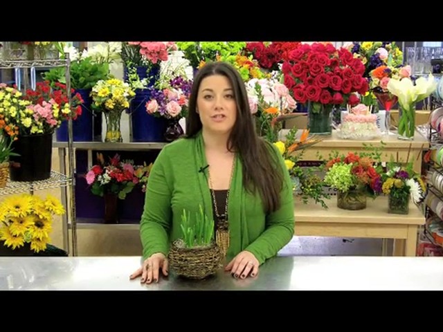 Delightful Daffodil Garden Care & Handling Tips - image 5 from the video