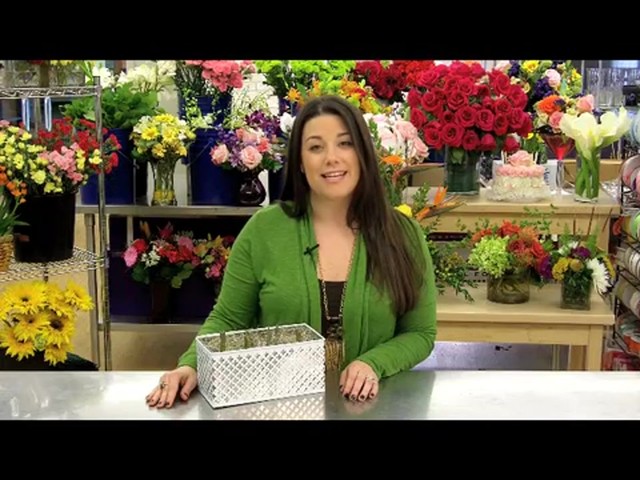 Red Tulip Garden Care & Handling Tips Video - image 3 from the video