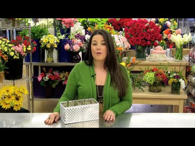 Red Tulip Garden Care & Handling Tips Video - image 8 from the video