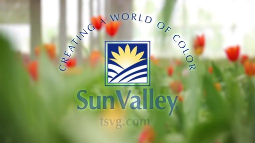 Sunvalley Farms Soil Tulips - image 10 from the video