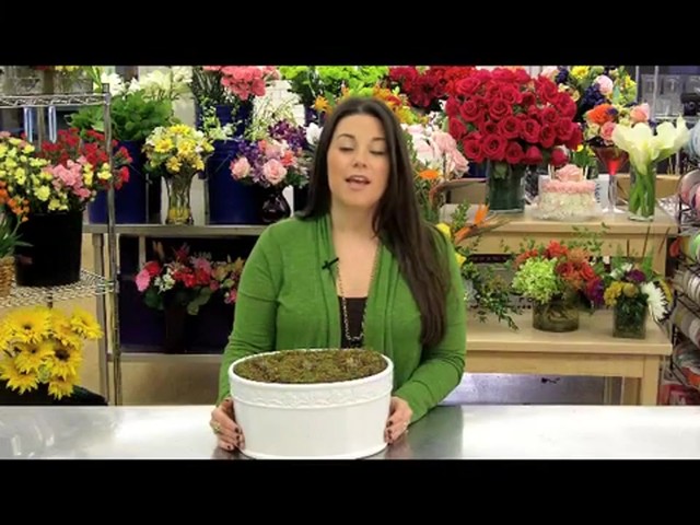 Double Dream Pink Amaryllis Garden Care & Handling Tips - image 1 from the video