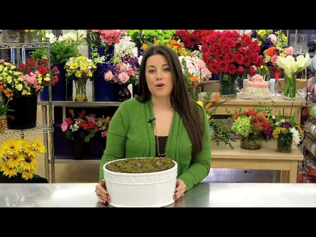 Double Dream Pink Amaryllis Garden Care & Handling Tips - image 2 from the video