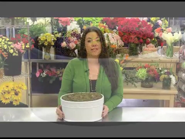 Double Dream Pink Amaryllis Garden Care & Handling Tips - image 4 from the video