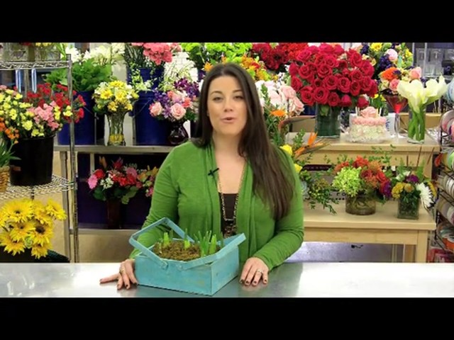 Spring Country Bulb Garden Care & Handling Tips Video - image 3 from the video