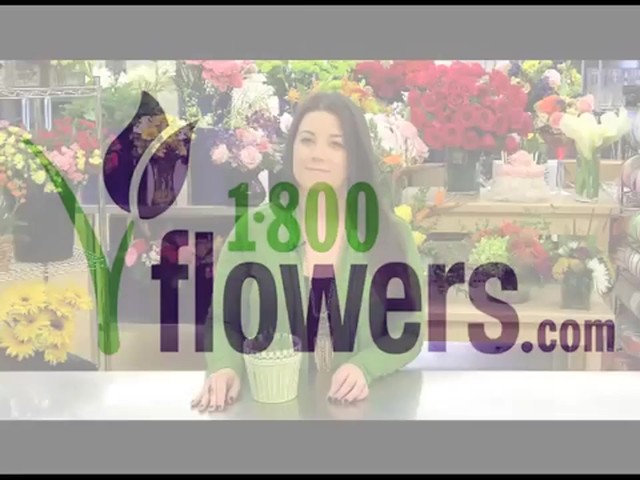 Heavenly Hyacinth Garden Care & Handling Tips - image 1 from the video