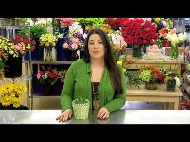 Heavenly Hyacinth Garden Care & Handling Tips - image 2 from the video
