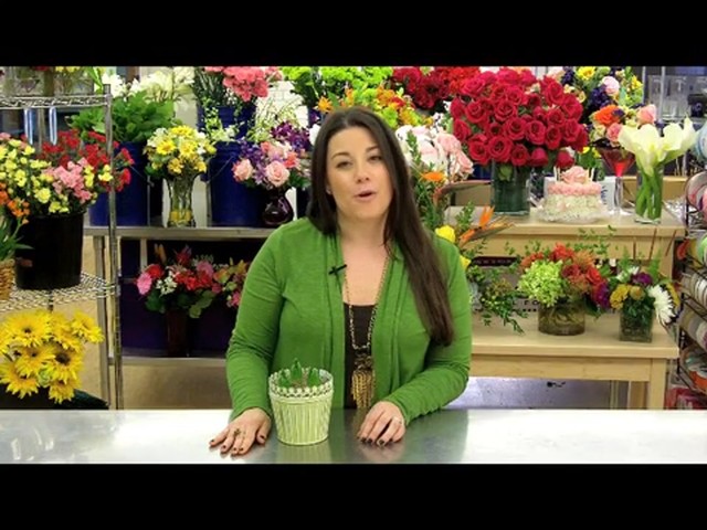 Heavenly Hyacinth Garden Care & Handling Tips - image 8 from the video