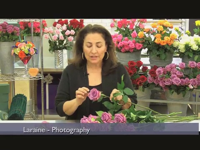 Top 10 Valentines Day Rose Care Tips Countdown  - image 5 from the video