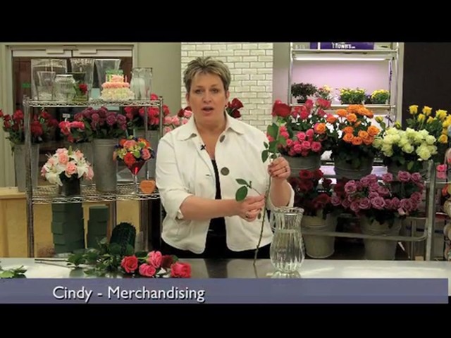 Top 10 Valentines Day Rose Care Tips Countdown  - image 6 from the video