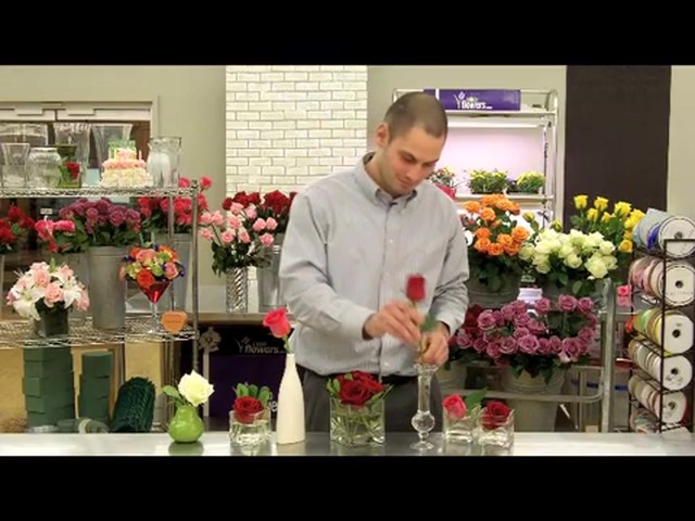 Top 10 Valentines Day Rose Care Tips Countdown  - image 9 from the video